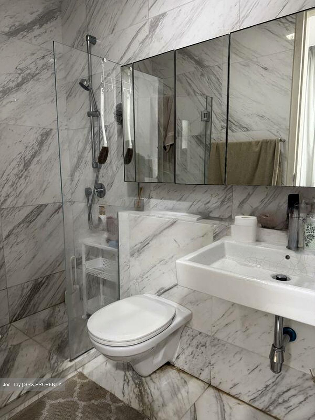 Shamrock Park (D10), Detached #453968761